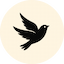 Sparrow